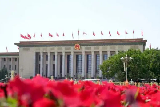 两会凝聚信心，纺织业发展须紧抓七大窗口期